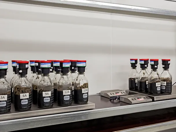 Biogasuntersuchungen über Druckmesskopf